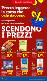 Volantino Lidl settimana 3 Pagina 10