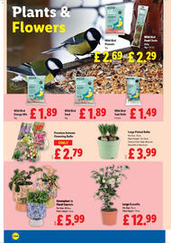 Lidl leaflet week 3 Page 24