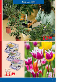 Lidl leaflet week 3 Page 25