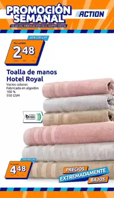 Catálogo Action (válido hasta el 13-01)