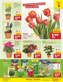 Netto Marken-Discount Prospekt woche 3 Seite 21