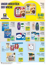 Diska Prospekt woche 3 Seite 10