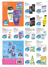 V Markt Prospekt woche 3 Seite 10