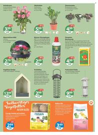 V Markt Prospekt woche 3 Seite 15