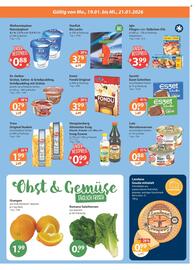 V Markt Prospekt woche 3 Seite 19