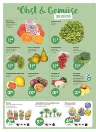 V Markt Prospekt woche 3 Seite 4