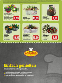 Feneberg Prospekt Seite 15