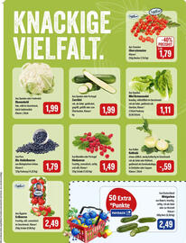 Feneberg Prospekt Seite 5