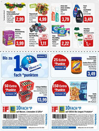 Feneberg Prospekt Seite 9