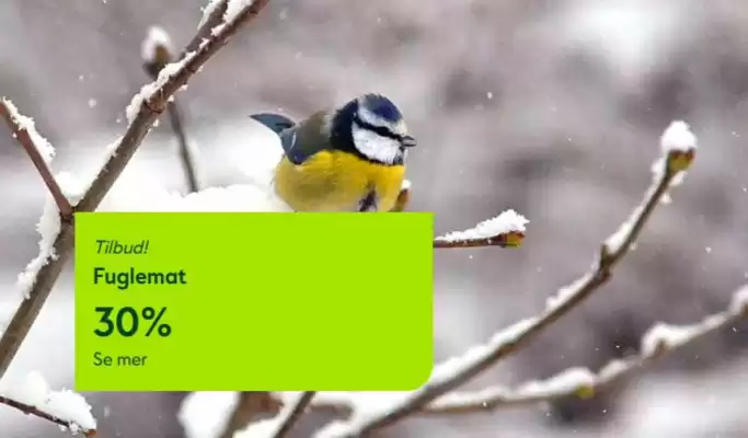 Hageland kundeavis (gyldig til 14-01)