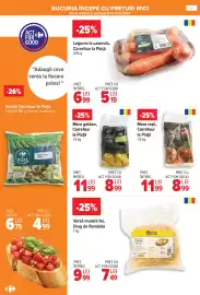 Catalog Carrefour Pagină 2