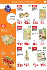 Catalog Carrefour Pagină 9