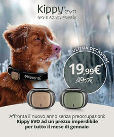 Volantino Arcaplanet Pagina 12