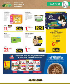 Volantino Arcaplanet Pagina 5