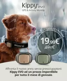 Volantino Arcaplanet Pagina 12