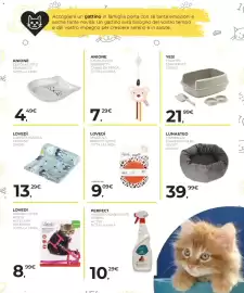 Volantino Arcaplanet Pagina 17