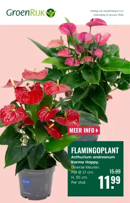 GroenRijk folder (geldig t/m 14-01)