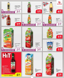 Selgros gazetka Strona 24