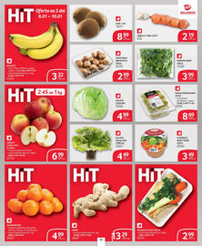 Selgros gazetka Strona 31