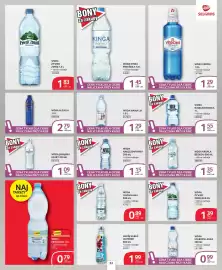 Selgros gazetka Strona 22