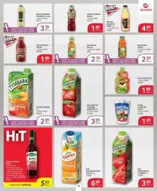 Selgros gazetka Strona 24