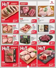 Selgros gazetka Strona 33