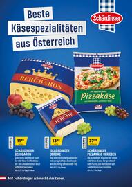 Eurogast Grissemann Flugblatt Seite 11