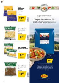 Eurogast Grissemann Flugblatt Seite 14