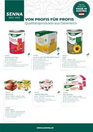 Eurogast Grissemann Flugblatt Seite 15