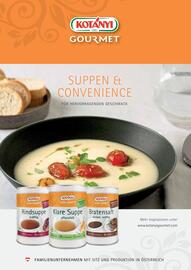 Eurogast Grissemann Flugblatt Seite 18