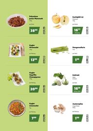 Eurogast Grissemann Flugblatt Seite 2