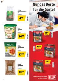 Eurogast Grissemann Flugblatt Seite 20