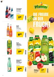 Eurogast Grissemann Flugblatt Seite 26