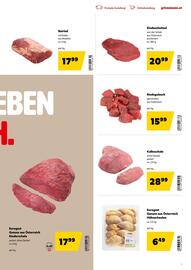 Eurogast Grissemann Flugblatt Seite 7