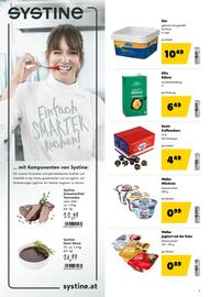 Eurogast Grissemann Flugblatt Seite 9