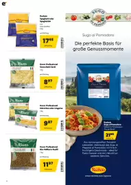 Eurogast Grissemann Flugblatt Seite 14