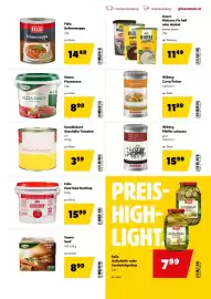 Eurogast Grissemann Flugblatt Seite 19