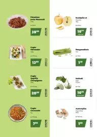 Eurogast Grissemann Flugblatt Seite 2
