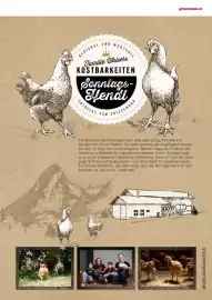 Eurogast Grissemann Flugblatt Seite 5