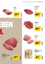 Eurogast Grissemann Flugblatt Seite 7