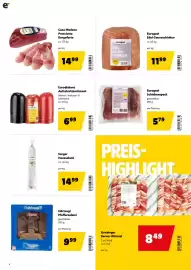 Eurogast Grissemann Flugblatt Seite 8