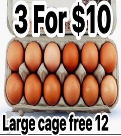 Savemore catalogue week 2 Page 16