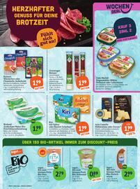 Basic Prospekt Seite 13