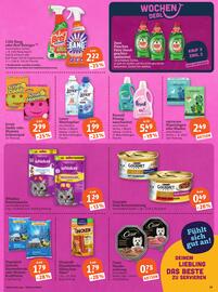 Basic Prospekt Seite 21