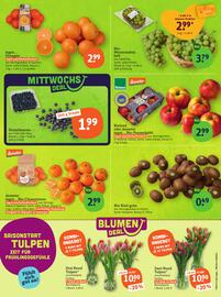 Basic Prospekt Seite 5