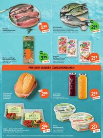 Basic Prospekt Seite 8