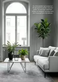 Plantasjen kundeavis Side 11