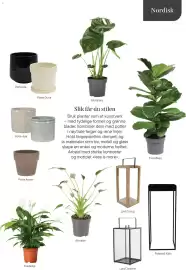 Plantasjen kundeavis Side 13