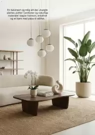 Plantasjen kundeavis Side 17