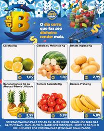 Catálogo Super Barão Página 5